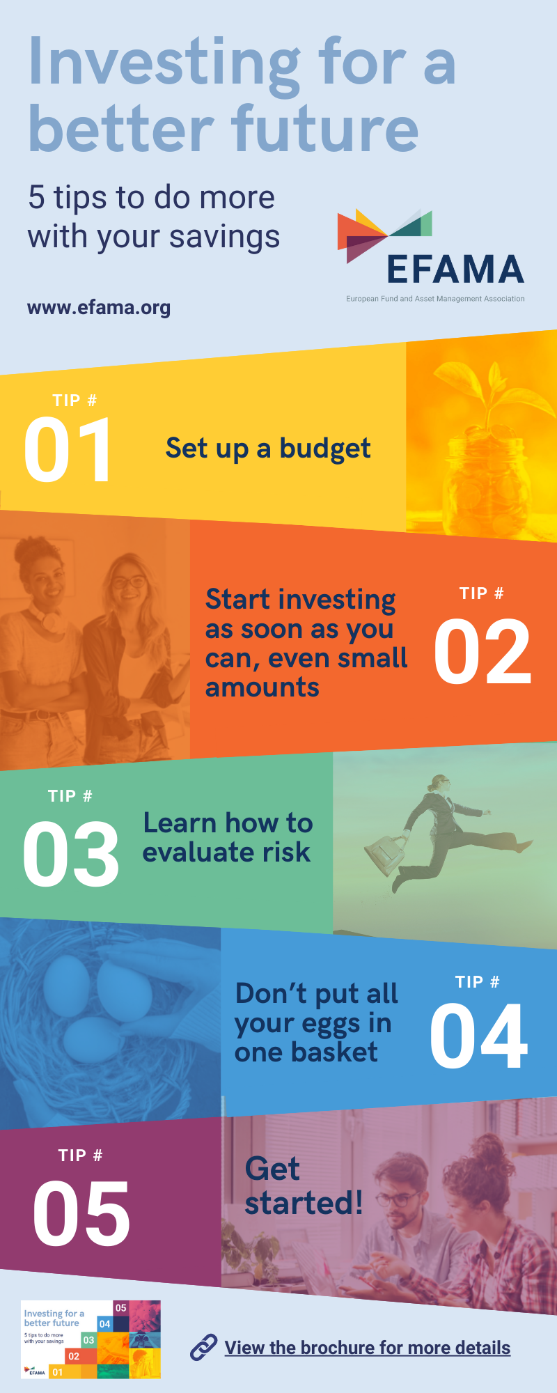 investor education infographic