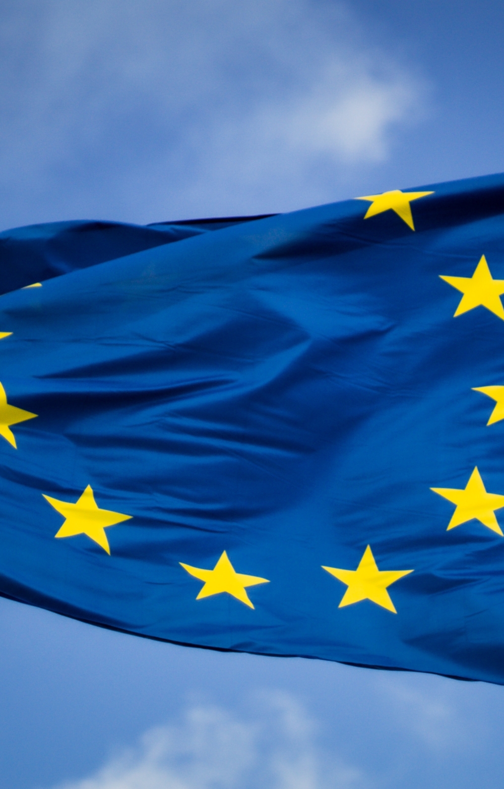 eu regulation
