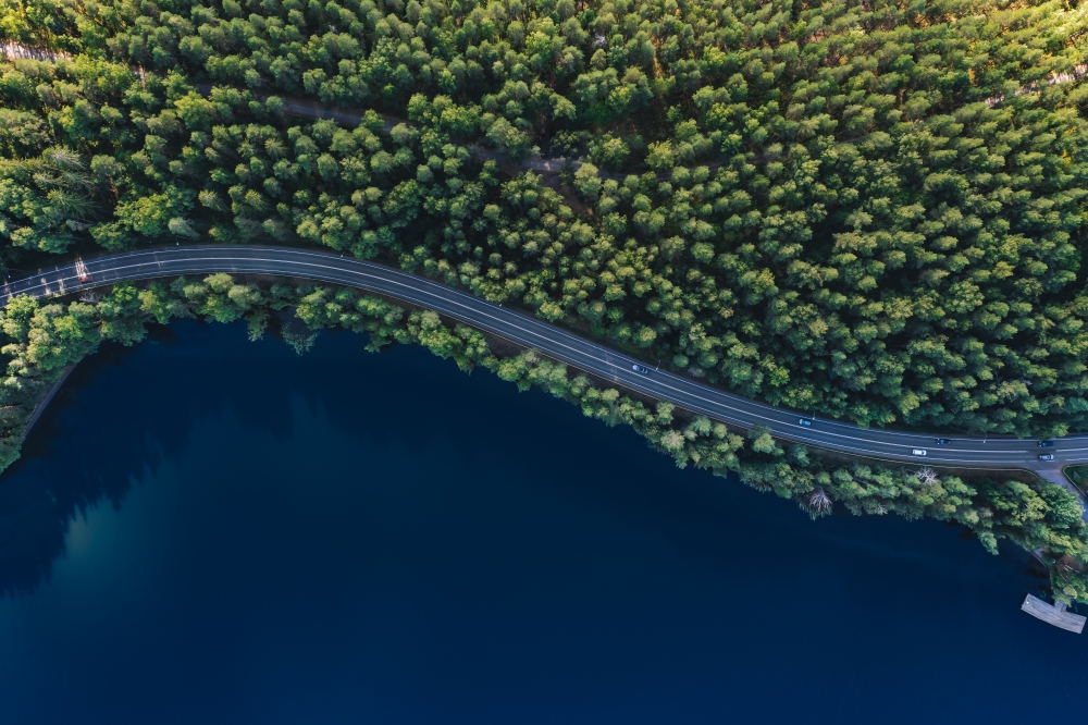 a long and winding road in the forest