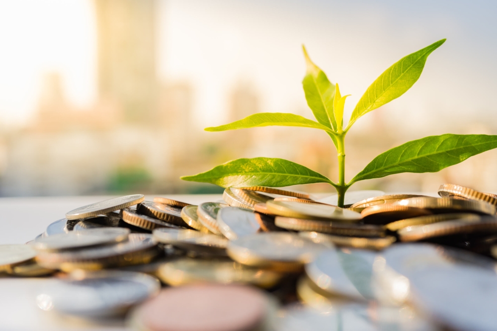 Plants growing from money