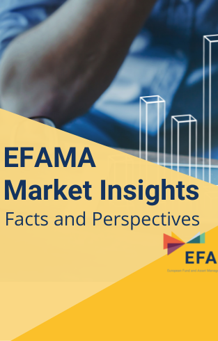 market insights 4