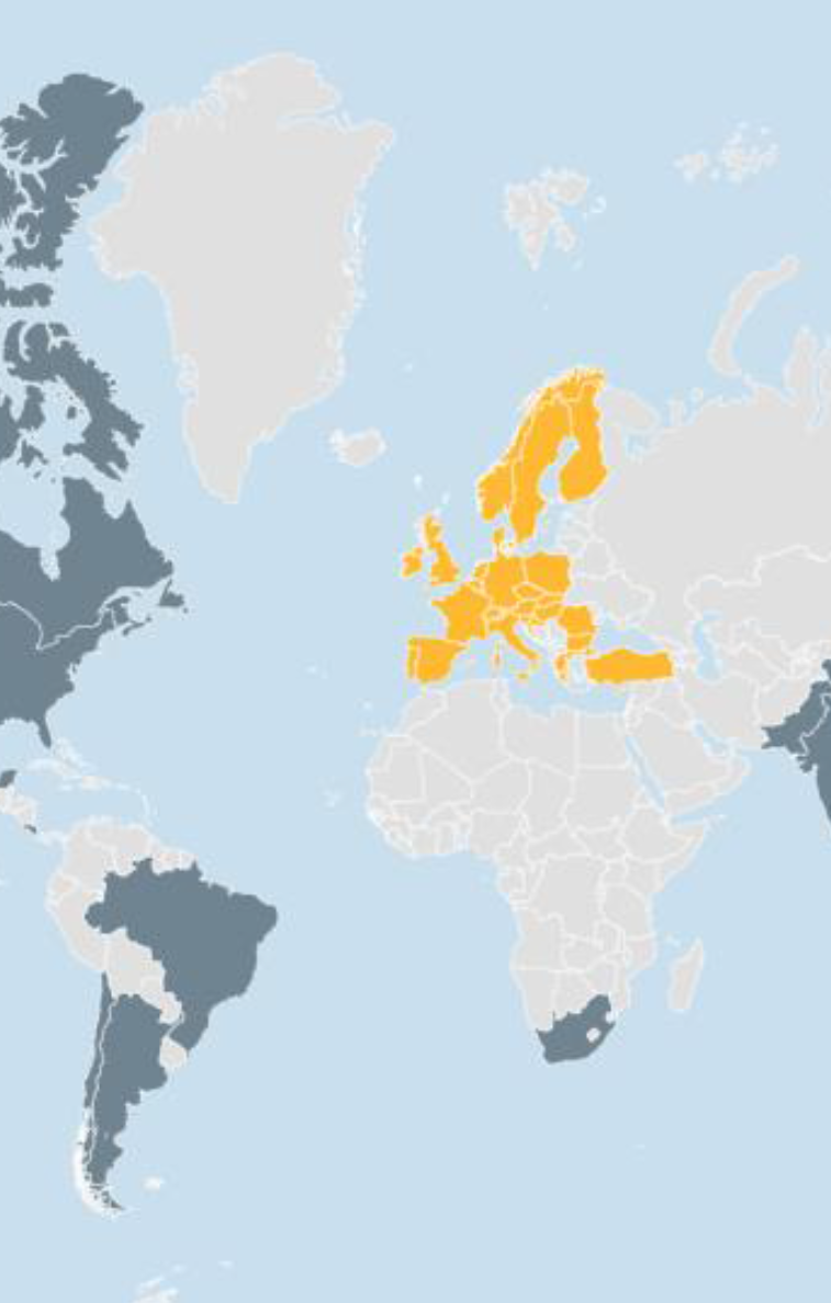 World map