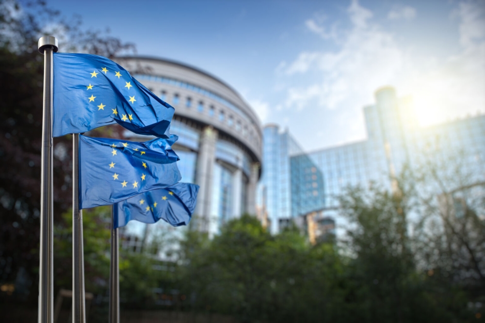 EU flags
