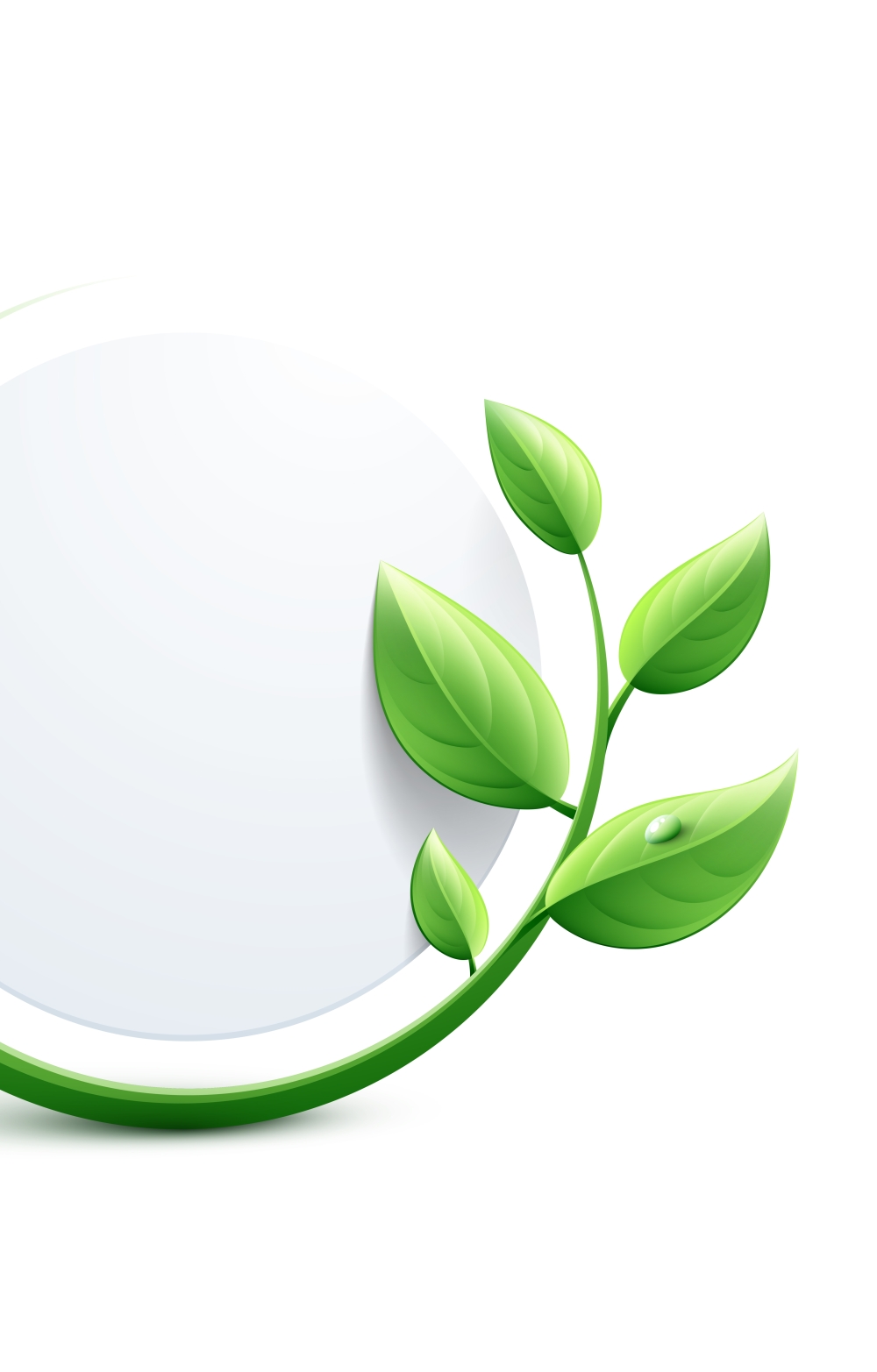 leaf