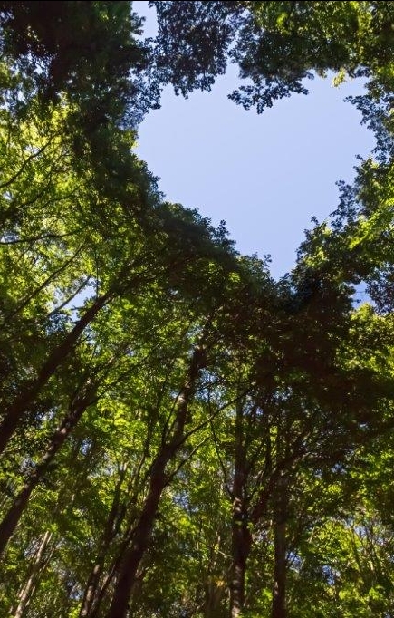 Sustainable finance