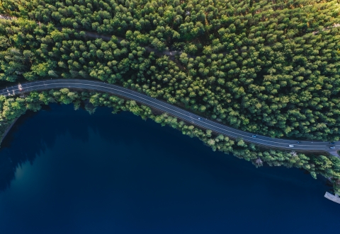 a long and winding road in the forest